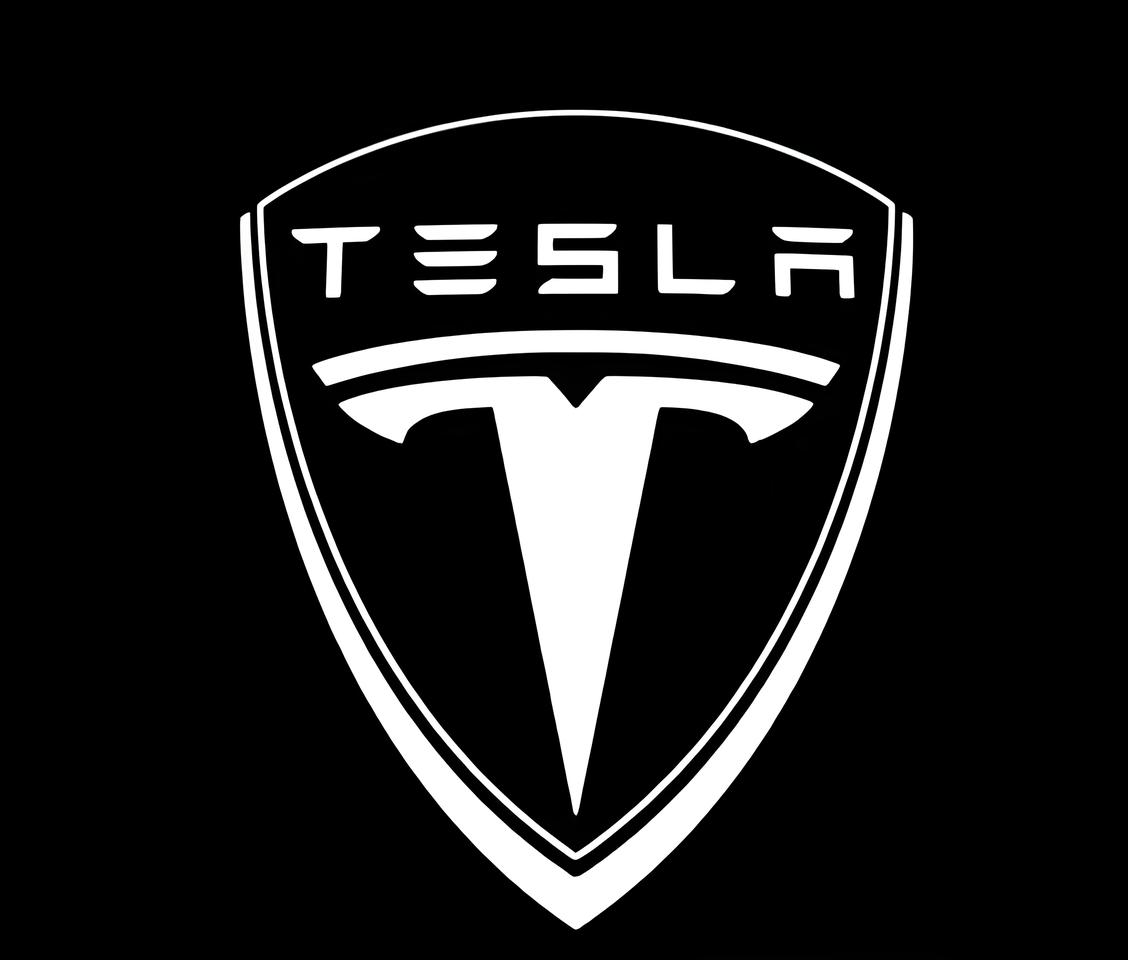 2Pcs Tesla Car Door Projector Light LED Logo Projector - Tesla Puddle Shadow Lamp